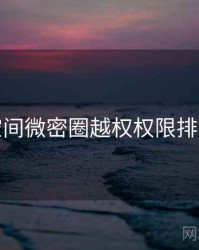 秘语空间微密圈越权权限排查步骤