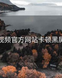 妖精视频官方网站卡顿黑屏排查
