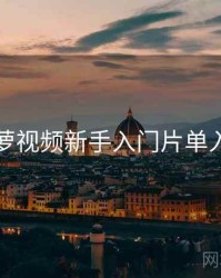 菠萝视频新手入门片单入门