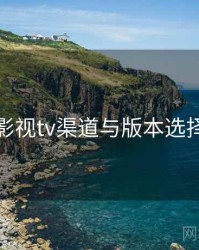 红桃影视tv渠道与版本选择建议