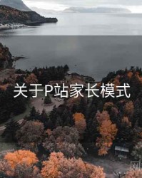 关于P站家长模式
