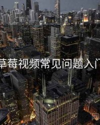 草莓视频常见问题入门