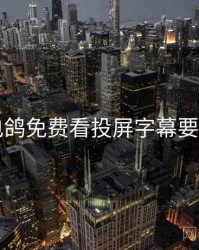 电鸽免费看投屏字幕要点