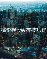 红桃影视tv缓存技巧详解