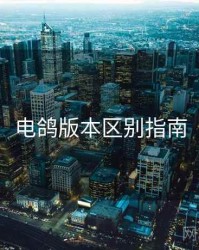 电鸽版本区别指南