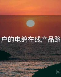 面向用户的电鸽在线产品路线猜想