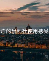 面向用户的黑料社使用感受与建议