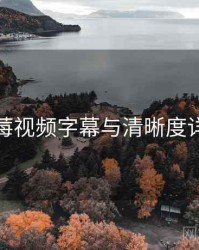 草莓视频字幕与清晰度详解