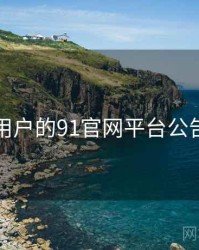 面向用户的91官网平台公告汇编