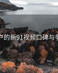 面向用户的新91视频口碑与争议聚焦