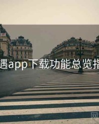 岛遇app下载功能总览指南