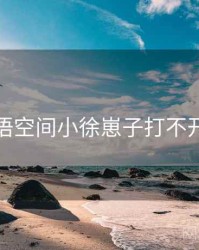 关于秘语空间小徐崽子打不开怎么办