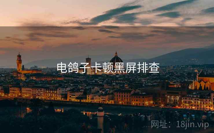 电鸽子卡顿黑屏排查