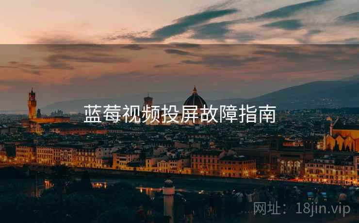 蓝莓视频投屏故障指南