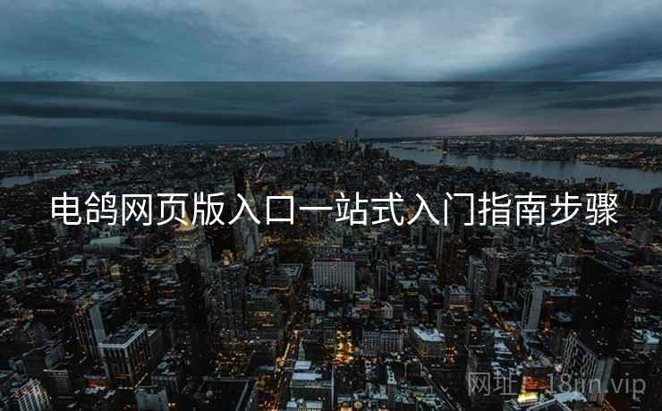 电鸽网页版入口一站式入门指南步骤