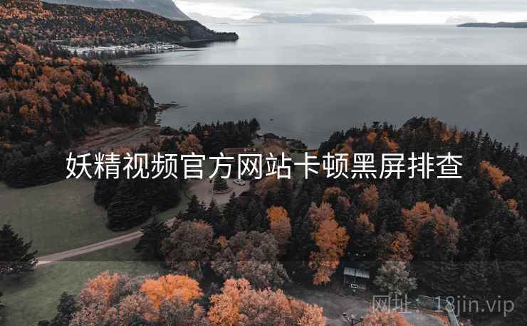 妖精视频官方网站卡顿黑屏排查