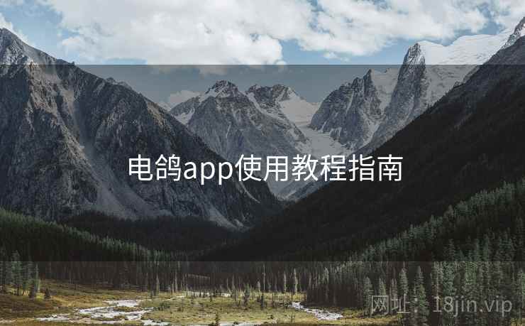 电鸽app使用教程指南