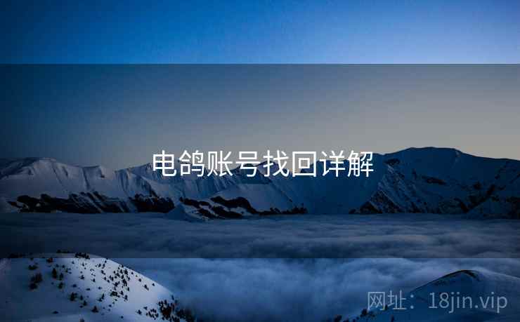电鸽账号找回详解