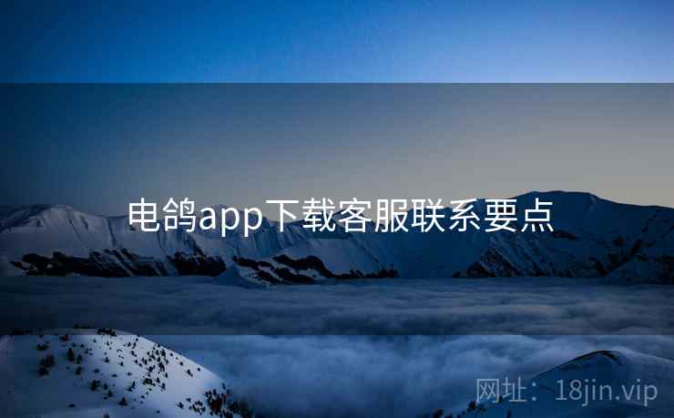 电鸽app下载客服联系要点