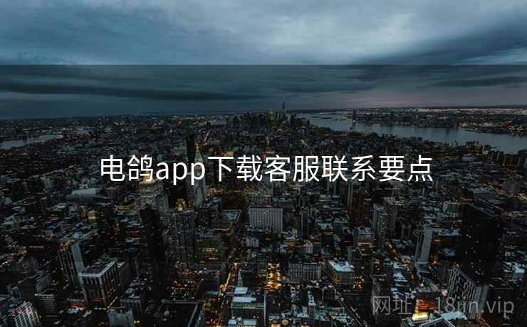 电鸽app下载客服联系要点