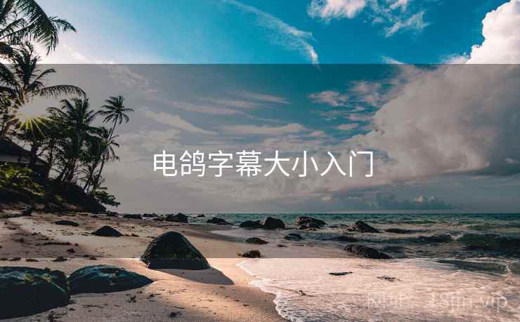 电鸽字幕大小入门