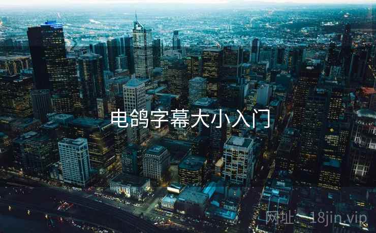 电鸽字幕大小入门
