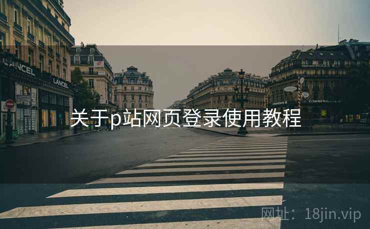 关于p站网页登录使用教程
