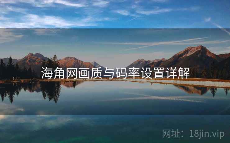 海角网画质与码率设置详解