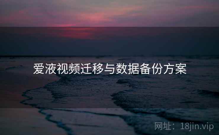 爱液视频迁移与数据备份方案