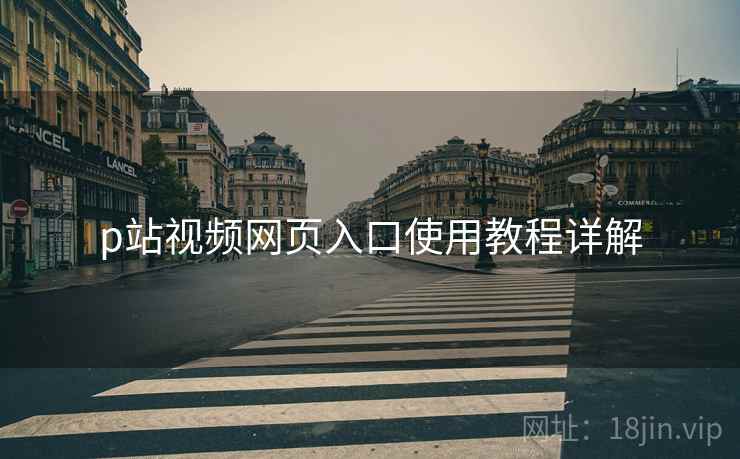 p站视频网页入口使用教程详解
