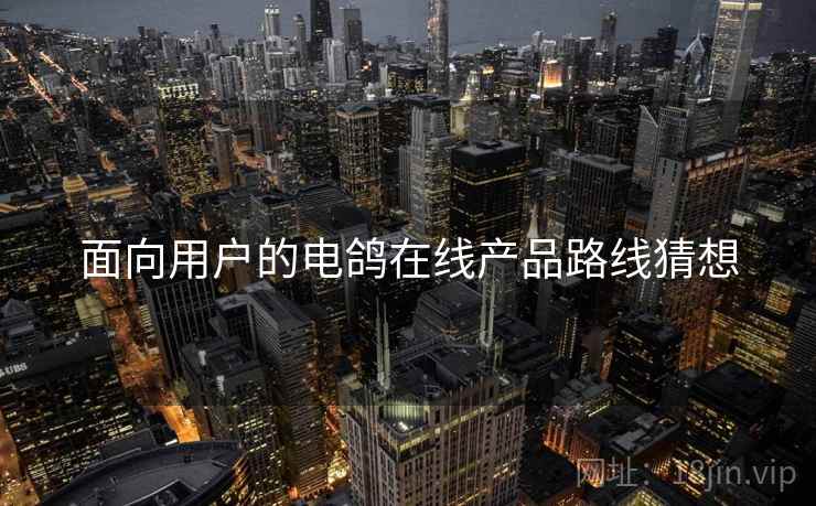 面向用户的电鸽在线产品路线猜想