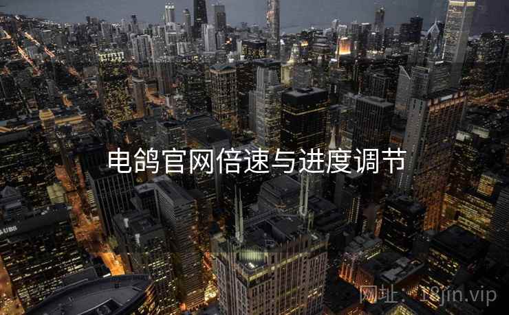电鸽官网倍速与进度调节