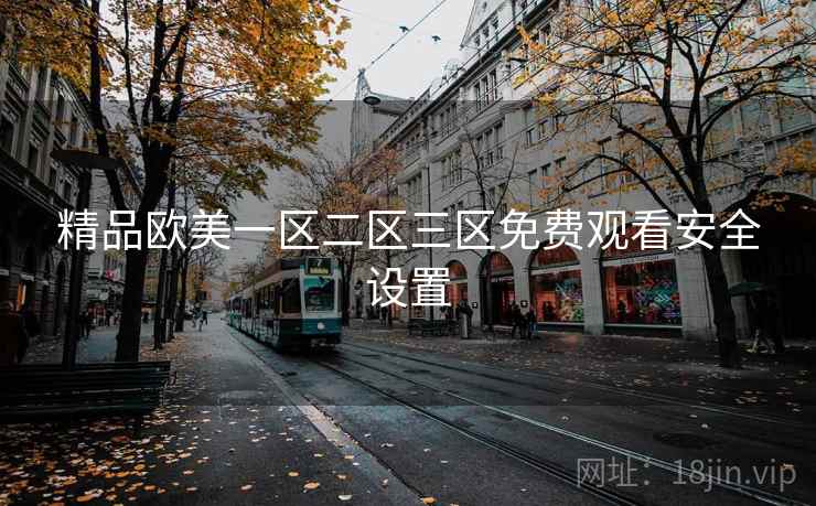 精品欧美一区二区三区免费观看安全设置