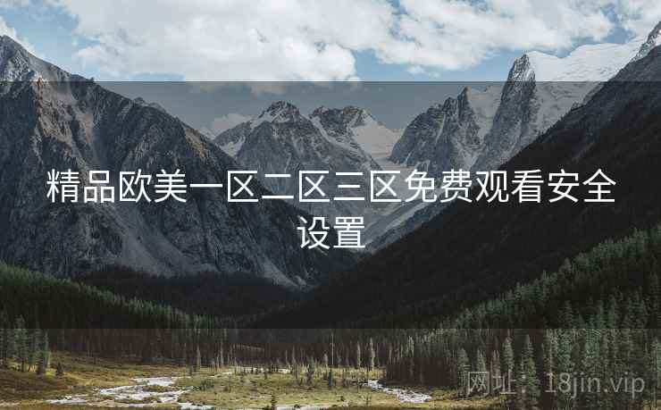 精品欧美一区二区三区免费观看安全设置