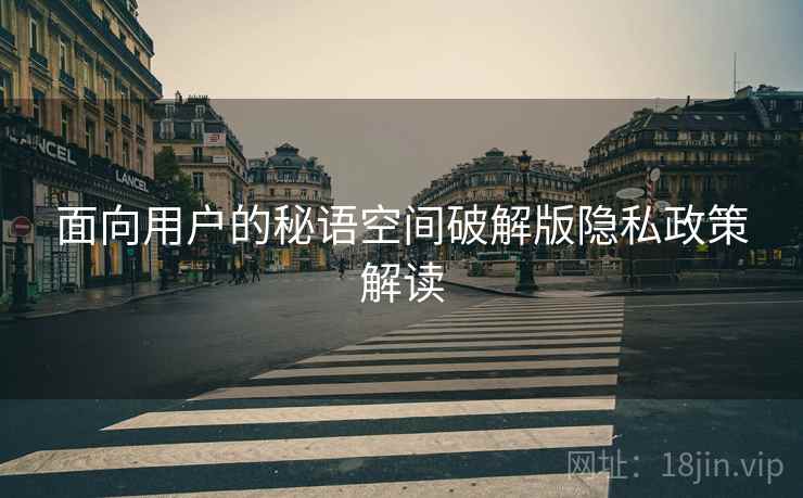 面向用户的秘语空间破解版隐私政策解读