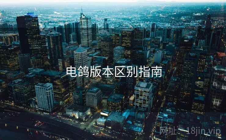 电鸽版本区别指南