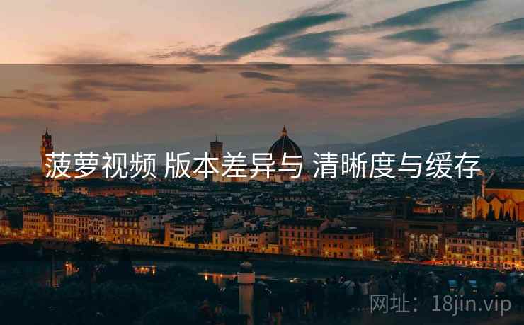 菠萝视频 版本差异与 清晰度与缓存