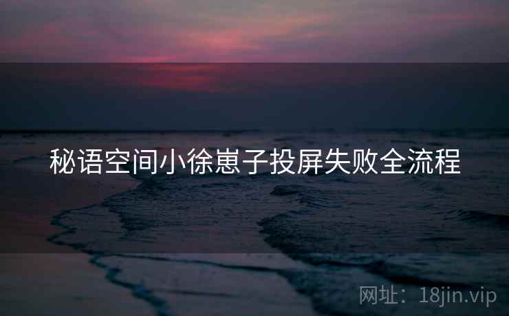 秘语空间小徐崽子投屏失败全流程
