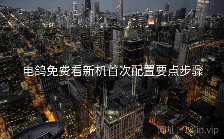 电鸽免费看新机首次配置要点步骤