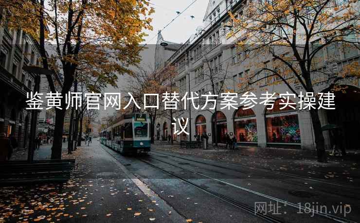 鉴黄师官网入口替代方案参考实操建议
