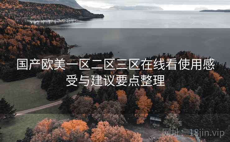 国产欧美一区二区三区在线看使用感受与建议要点整理
