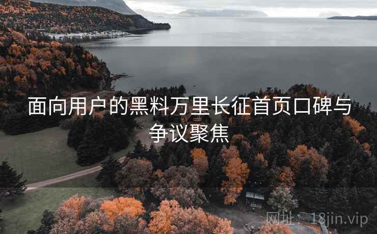 面向用户的黑料万里长征首页口碑与争议聚焦