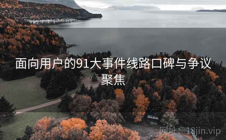 面向用户的91大事件线路口碑与争议聚焦