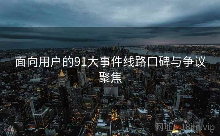 面向用户的91大事件线路口碑与争议聚焦