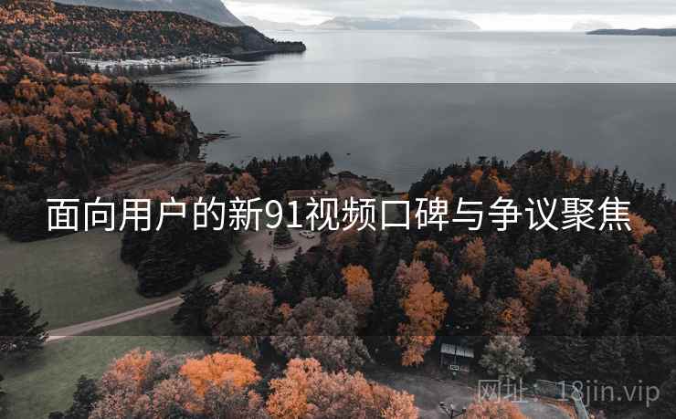 面向用户的新91视频口碑与争议聚焦