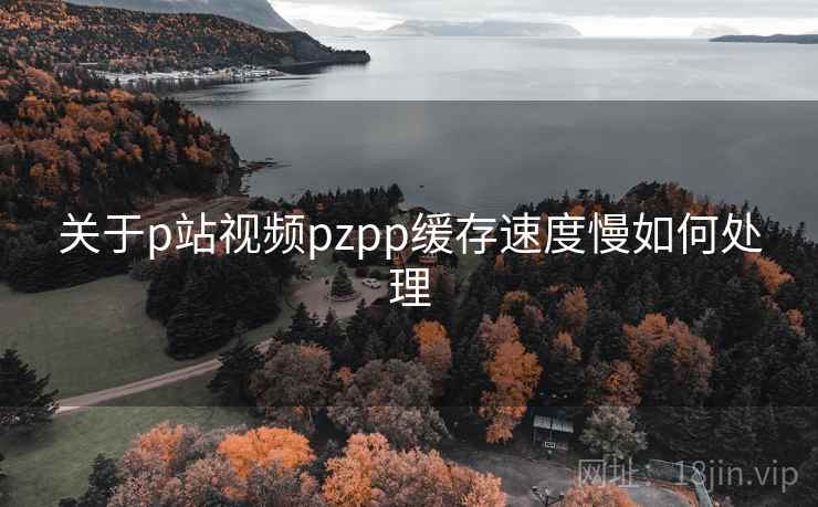 关于p站视频pzpp缓存速度慢如何处理