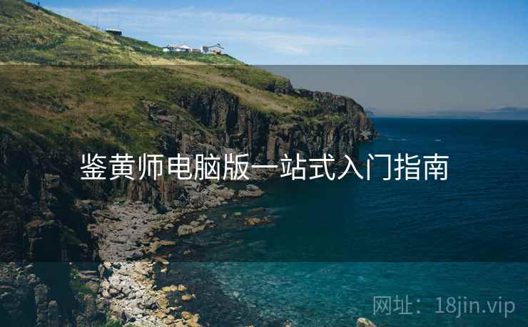 鉴黄师电脑版一站式入门指南