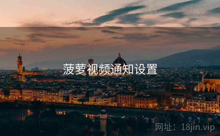 菠萝视频通知设置